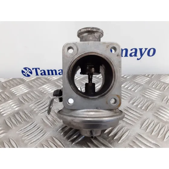 Valvula Egr para Bmw Serie 3 Compact (E46)
