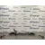 Cremallera Direccion para Volvo C30