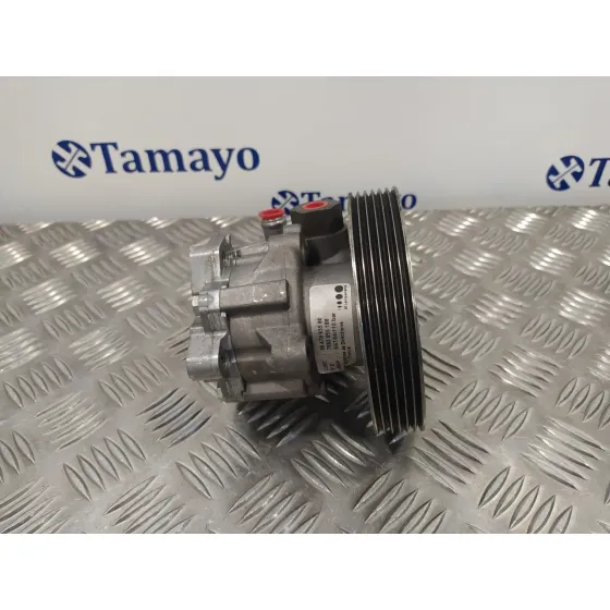 Bomba Direccion para Citroën C8