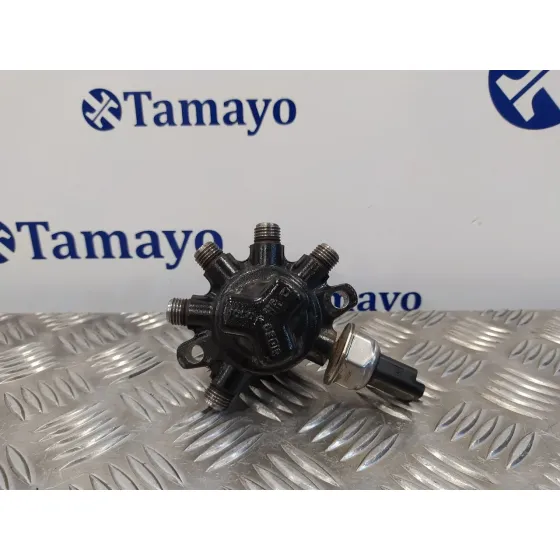 Rampa Inyectora para Ford Transit Connect (Tc7)