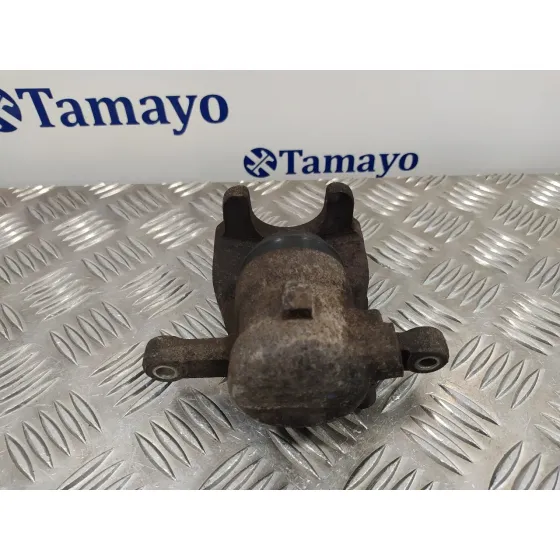 Pinza Freno Trasera Derecha para Land Rover Freelander (Lr2)