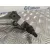 Motor Limpia Delantero para Bmw Serie 1 Berlina (E81/E87)