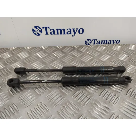 Amortiguadores Capo para Bmw Serie 1 Lim. (F20/F21)
