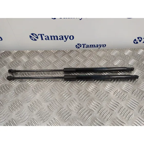 Amortiguadores Maletero / Porton para Bmw Serie 1 Lim. (F20/F21)