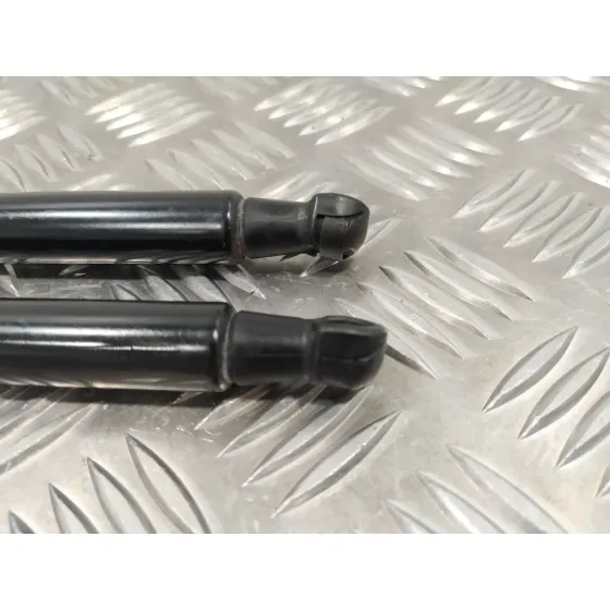 Amortiguadores Maletero / Porton para Bmw Serie 1 Lim. (F20/F21)