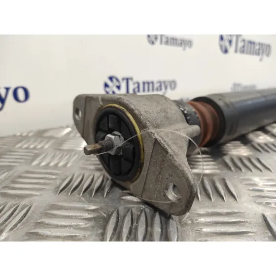 Amortiguador Trasero Derecho para Ford Kuga (Cbv)