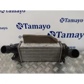 Intercooler para Ford Fiesta (Ce1)