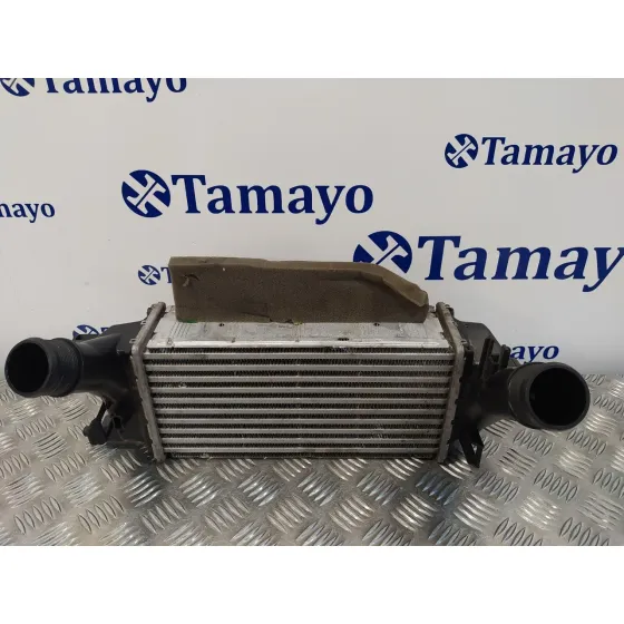 Intercooler para Ford Fiesta (Ce1)