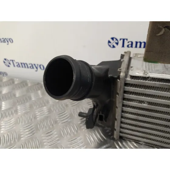 Intercooler para Ford Fiesta (Ce1)