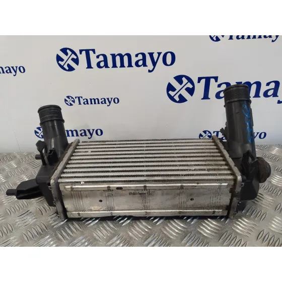 Intercooler para Ford Fiesta (Ce1)