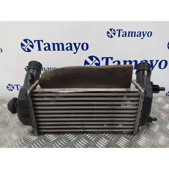 Intercooler para Ford Fiesta (Ce1)