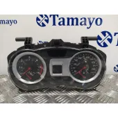 Cuadro Instrumentos para Renault Clio Iii