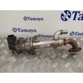 Enfriador Gases para Citroën C4 Grand Picasso