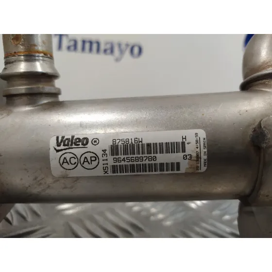 Enfriador Gases para Citroën C4 Grand Picasso