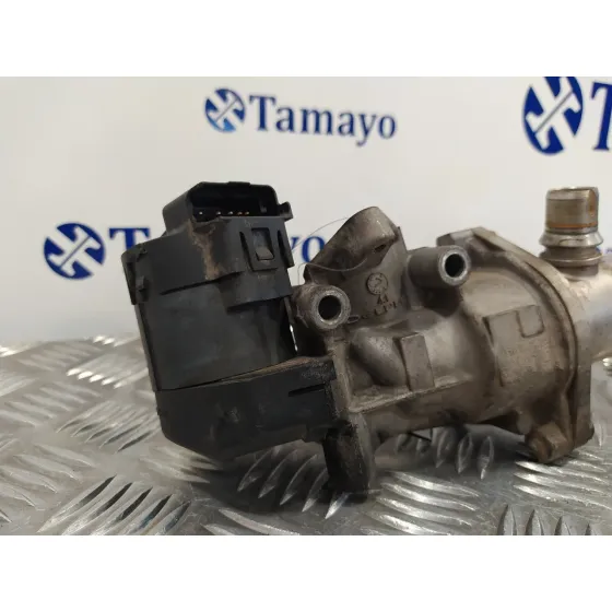 Enfriador Gases para Citroën C4 Grand Picasso