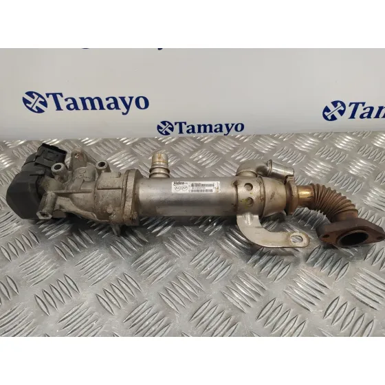 Enfriador Gases para Citroën C4 Grand Picasso