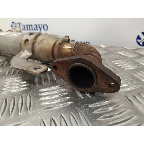 Enfriador Gases para Citroën C4 Grand Picasso