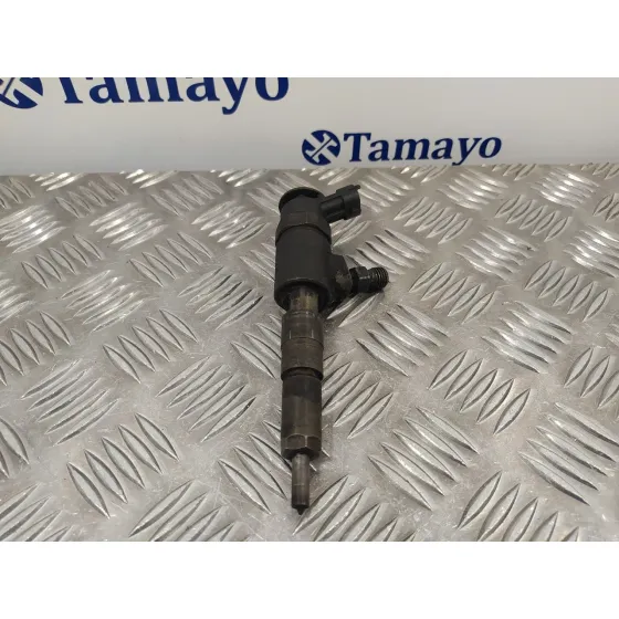 Inyector para Peugeot 207