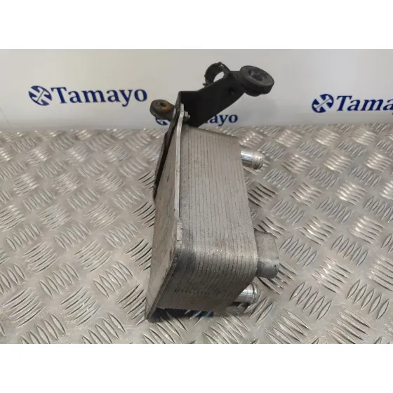 Enfriador Aceite Motor para Volkswagen Passat Variant (3C5)