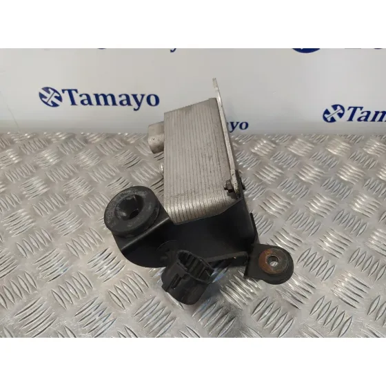 Enfriador Aceite Motor para Volkswagen Passat Variant (3C5)