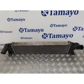 Intercooler para Ford Focus C-Max (Cap)