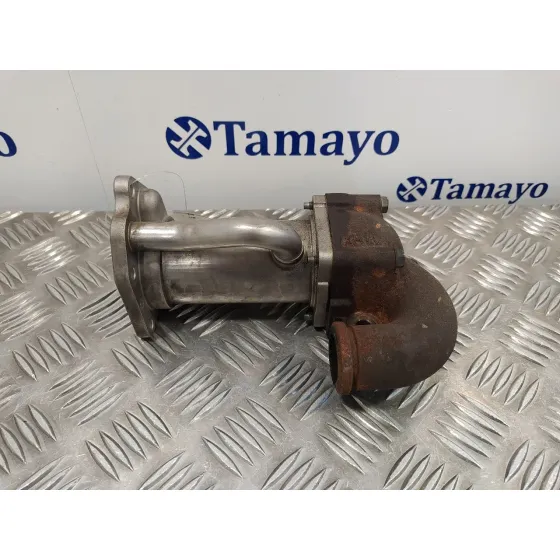 Enfriador Egr para Renault Clio Iii