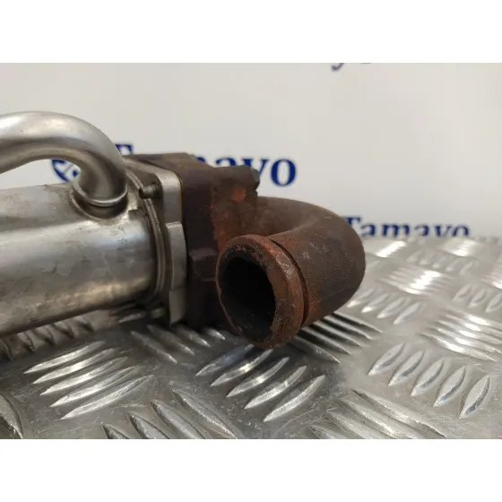 Enfriador Egr para Renault Clio Iii
