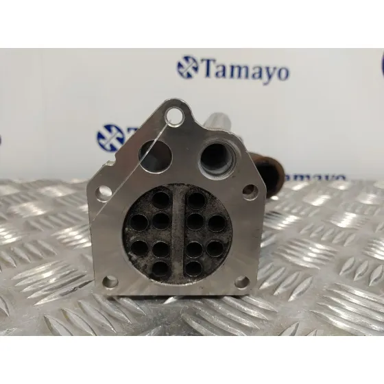 Enfriador Egr para Renault Clio Iii