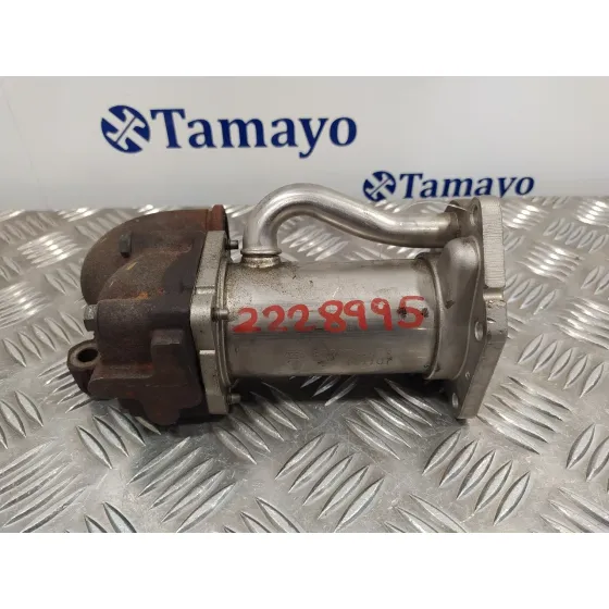 Enfriador Egr para Renault Clio Iii