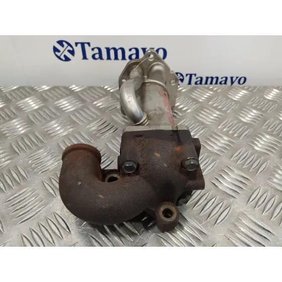 Enfriador Egr para Renault Clio Iii