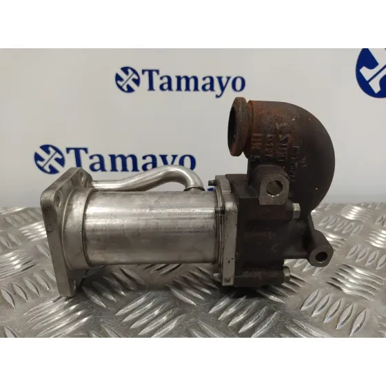 Enfriador Egr para Renault Clio Iii