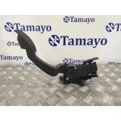 Potenciometro Pedal para Citroën Nemo