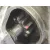 Motor Arranque para Nissan Qashqai (J10)