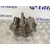 Pinza Freno Delantera Derecha para Peugeot 607 (S2)