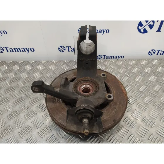 Mangueta Delantera Izquierda para Peugeot 607 (S2)