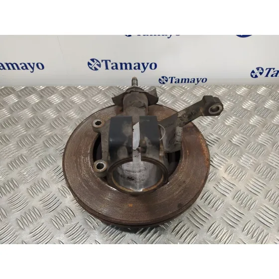 Mangueta Delantera Izquierda para Peugeot 607 (S2)