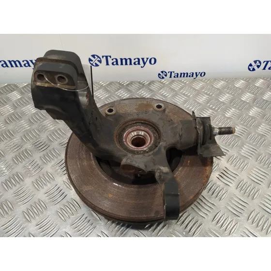 Mangueta Delantera Izquierda para Peugeot 607 (S2)