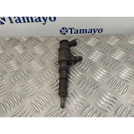 Inyector para Peugeot 206 Berlina
