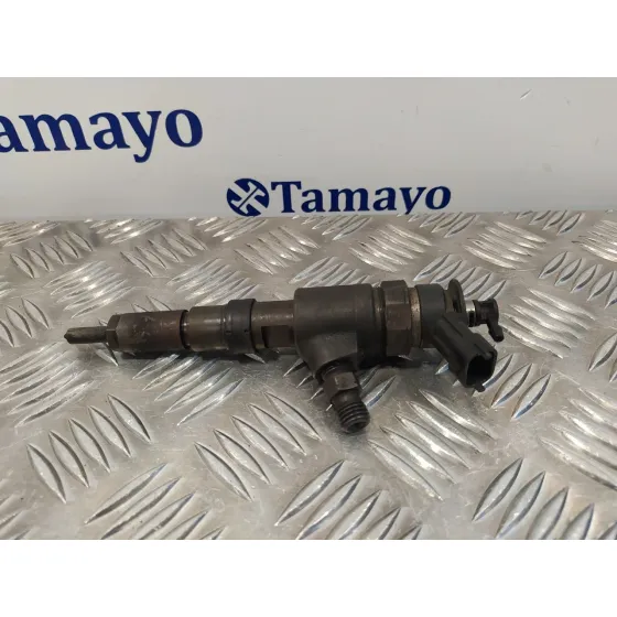 Inyector para Peugeot 206 Berlina