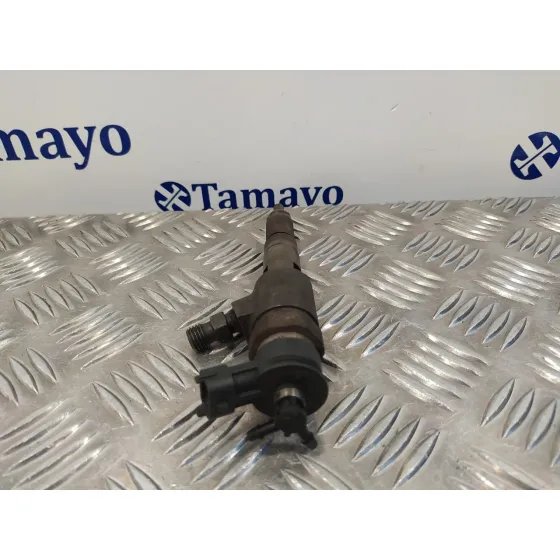 Inyector para Peugeot 206 Berlina