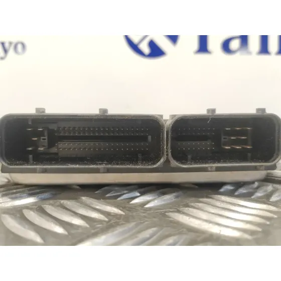 Centralita Motor Uce para Seat Ibiza (6L1)
