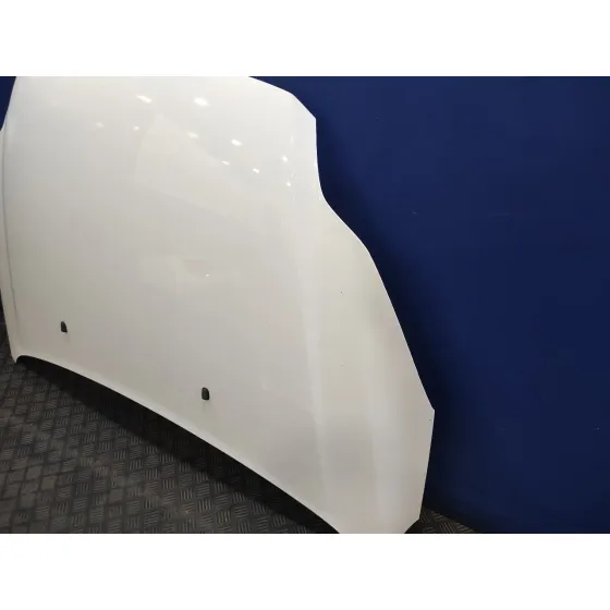 Capot para Ford Focus Turn.