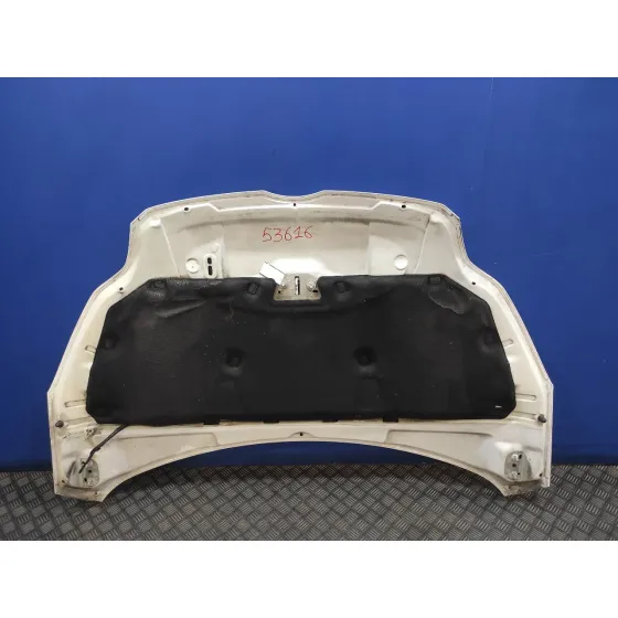 Capot para Ford Focus Turn.