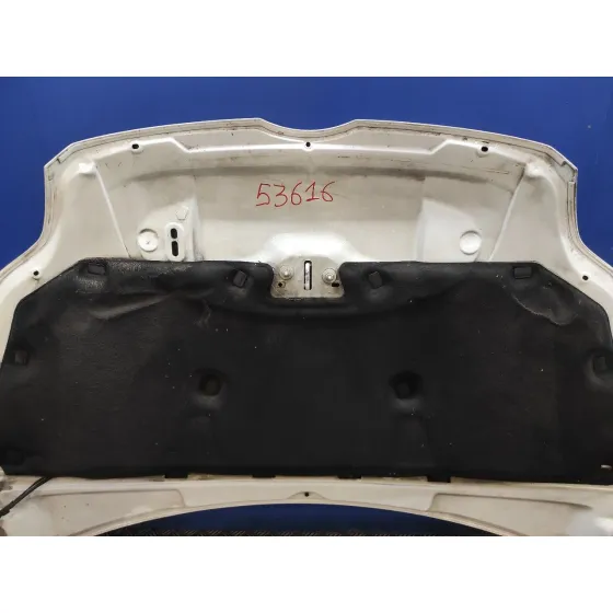 Capot para Ford Focus Turn.