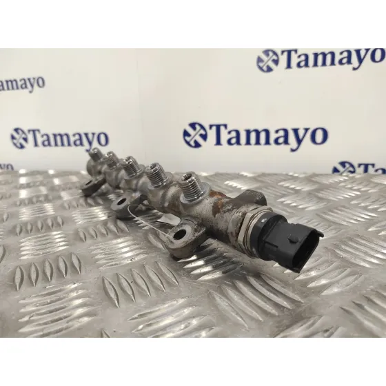 Rampa Inyectora para Nissan Primastar (X..)