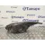 Faro Derecho para Ford Focus Turn.