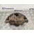 Pinza Freno Delantera Izquierda para Ford Transit Combi '06