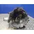 Caja Cambios para Audi A6 Berlina (4F2)