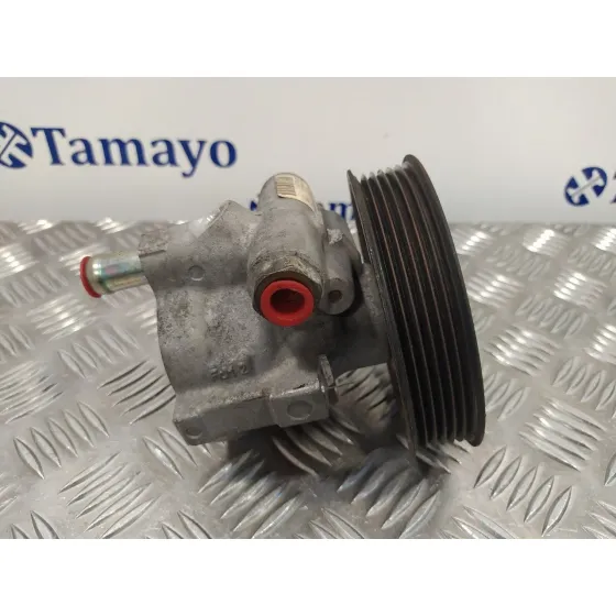 Bomba Direccion para Renault Espace Iv (Jk0)