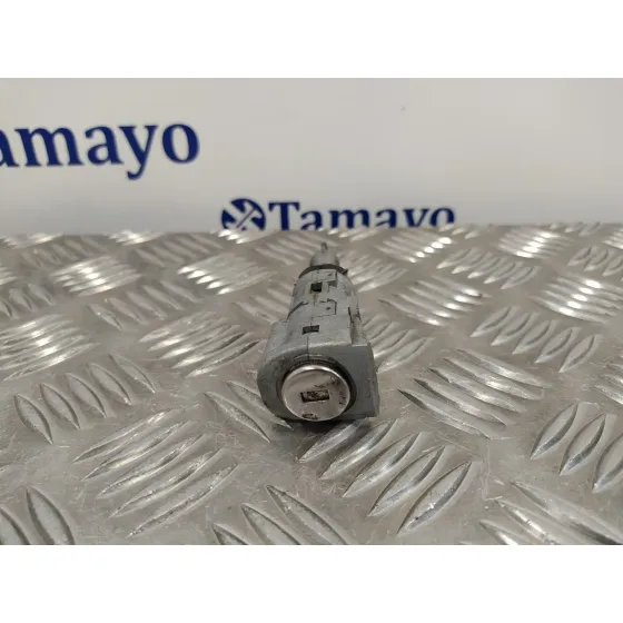 Bombin Puerta Delantera Izquierda para Volkswagen Polo (6C1)